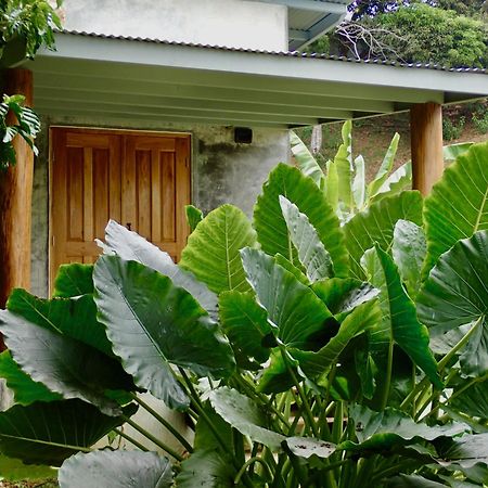 Casa Salvaje Vacation Rentals Bocas Town Bagian luar foto