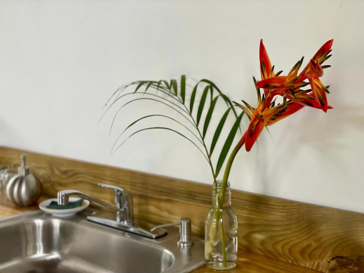 Casa Salvaje Vacation Rentals Bocas Town Bagian luar foto