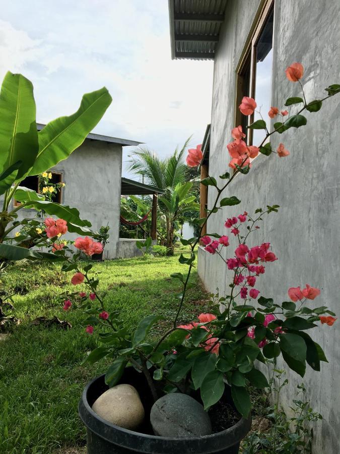 Casa Salvaje Vacation Rentals Bocas Town Bagian luar foto
