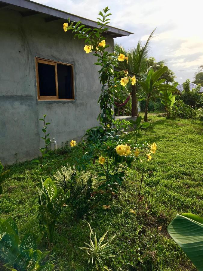 Casa Salvaje Vacation Rentals Bocas Town Bagian luar foto