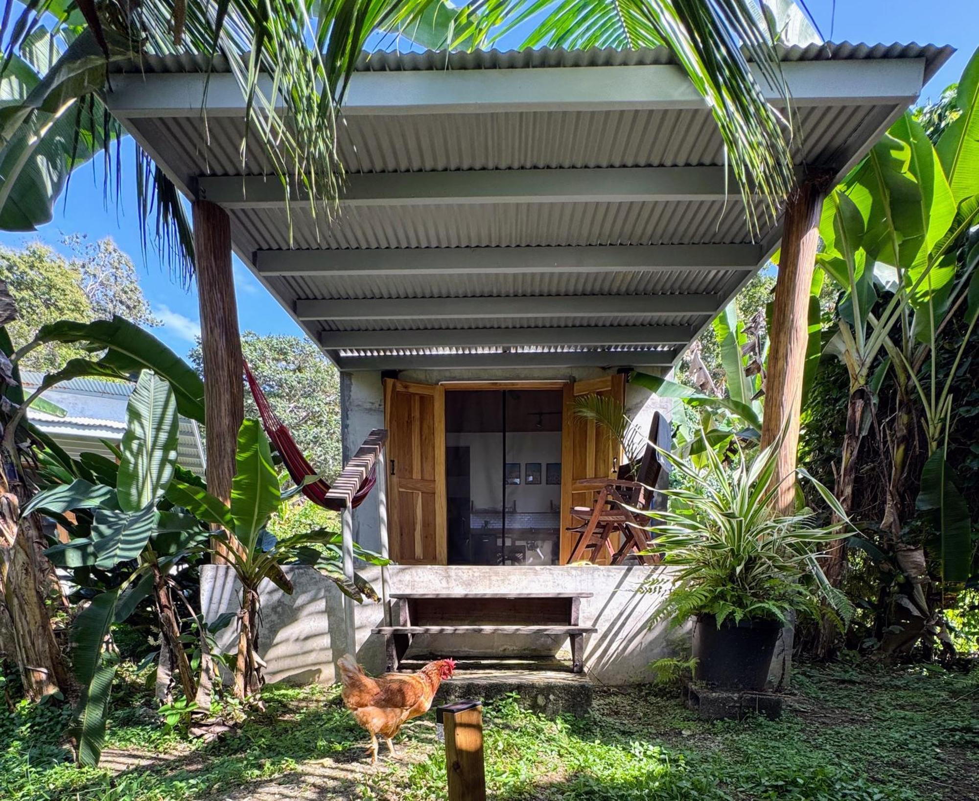 Casa Salvaje Vacation Rentals Bocas Town Bagian luar foto