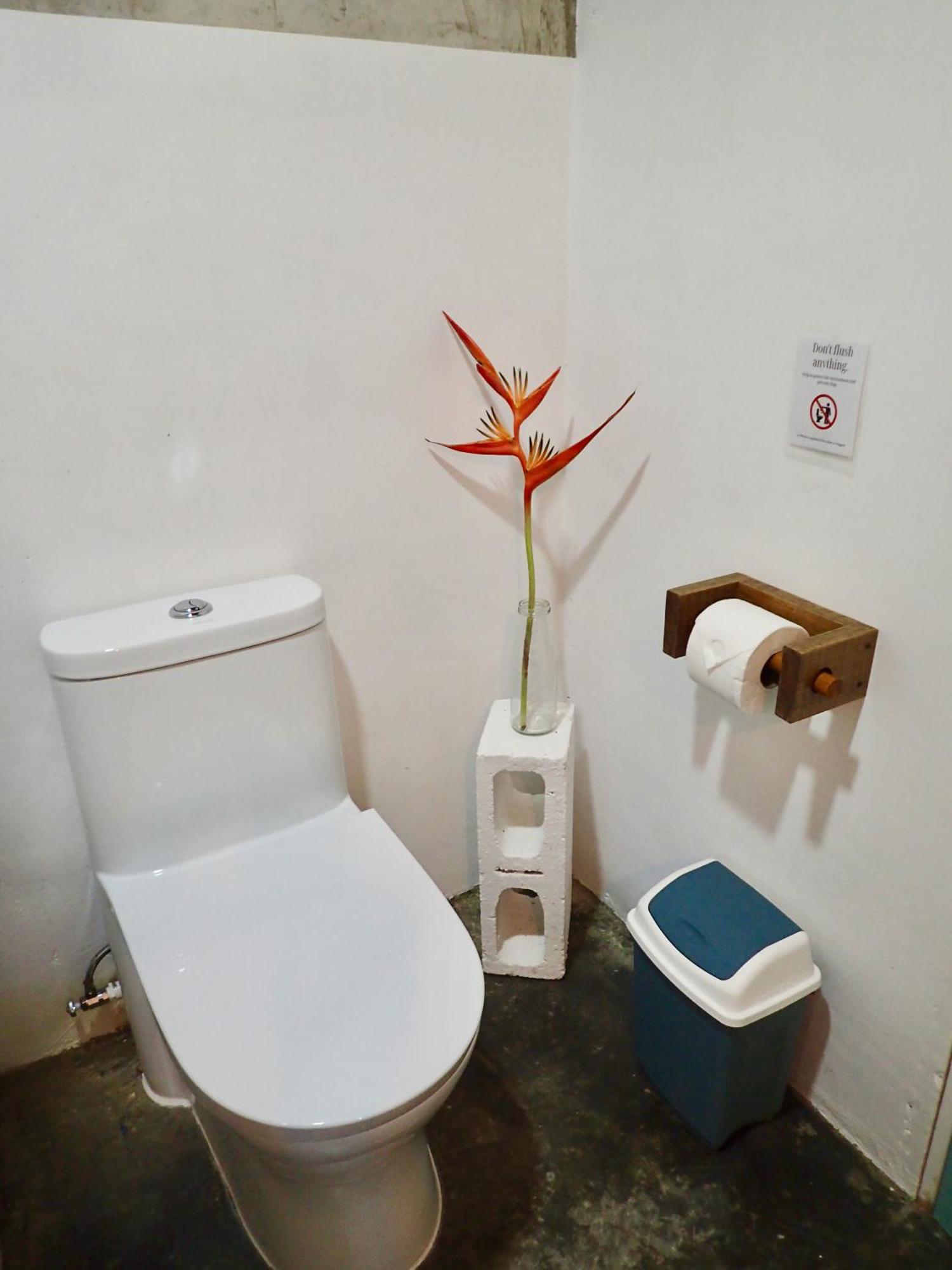 Casa Salvaje Vacation Rentals Bocas Town Bagian luar foto