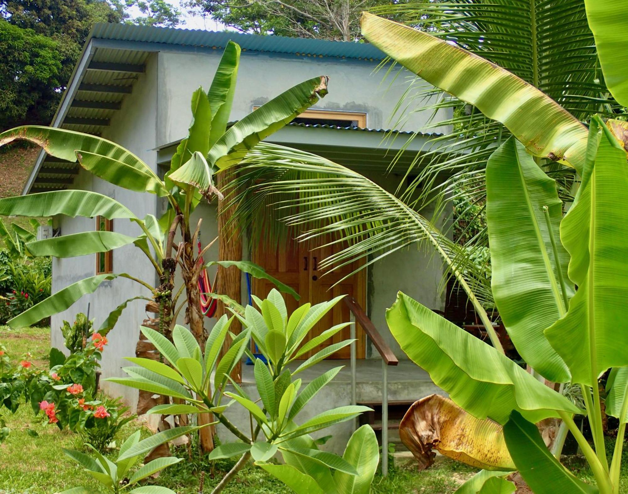 Casa Salvaje Vacation Rentals Bocas Town Bagian luar foto