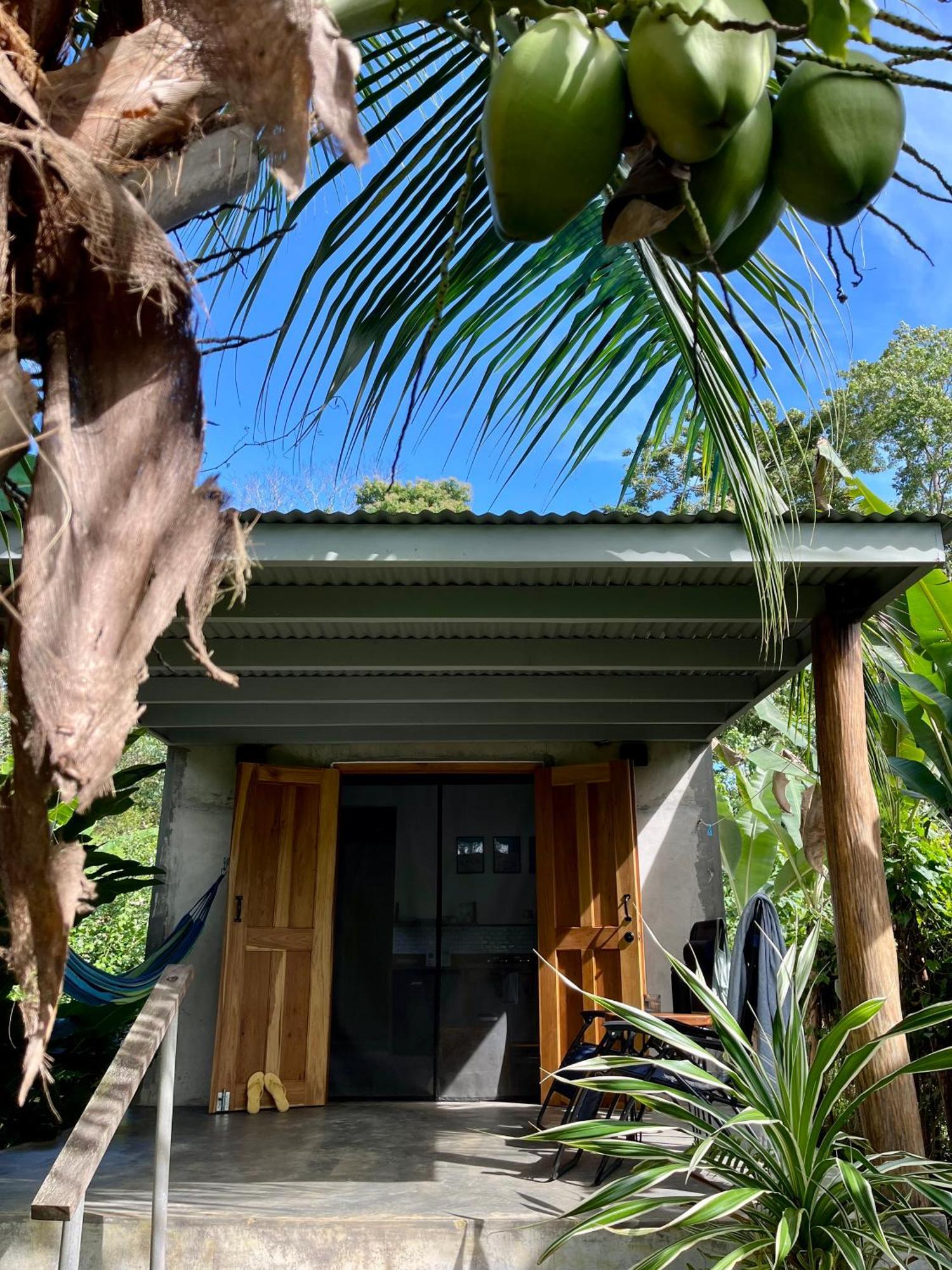 Casa Salvaje Vacation Rentals Bocas Town Bagian luar foto